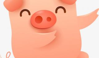 猪的简笔画 猪的简笔画