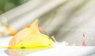 好看又伤感的动漫头像 好看又伤感的动漫头像